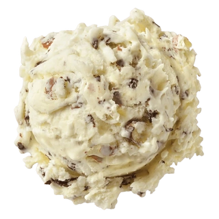 HM Coconut Almond Chip Scoop