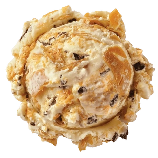 Peanut Butter 'N Chip Scoop